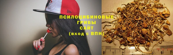 PSILOCYBIN Гусев
