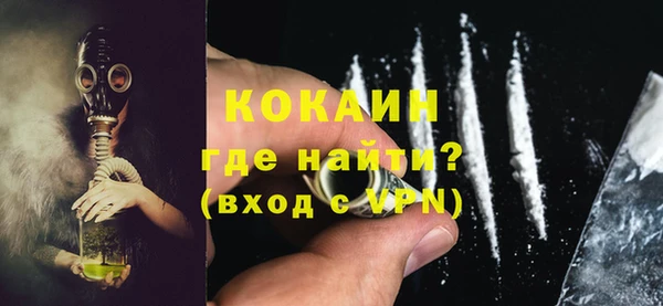 PSILOCYBIN Гусев