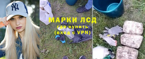 PSILOCYBIN Гусев