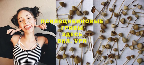 PSILOCYBIN Гусев