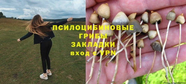 каннабис Гусиноозёрск