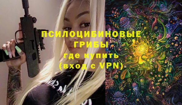 альфа пвп Гусь-Хрустальный