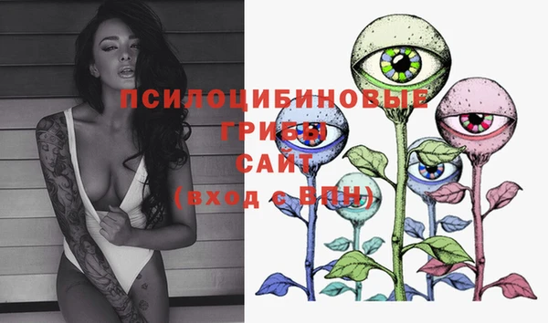 PSILOCYBIN Гусев