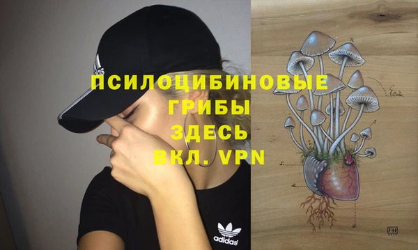 каннабис Гусиноозёрск