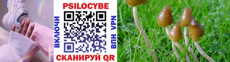закладки  Дудинка  Галлюциногенные грибы мицелий 